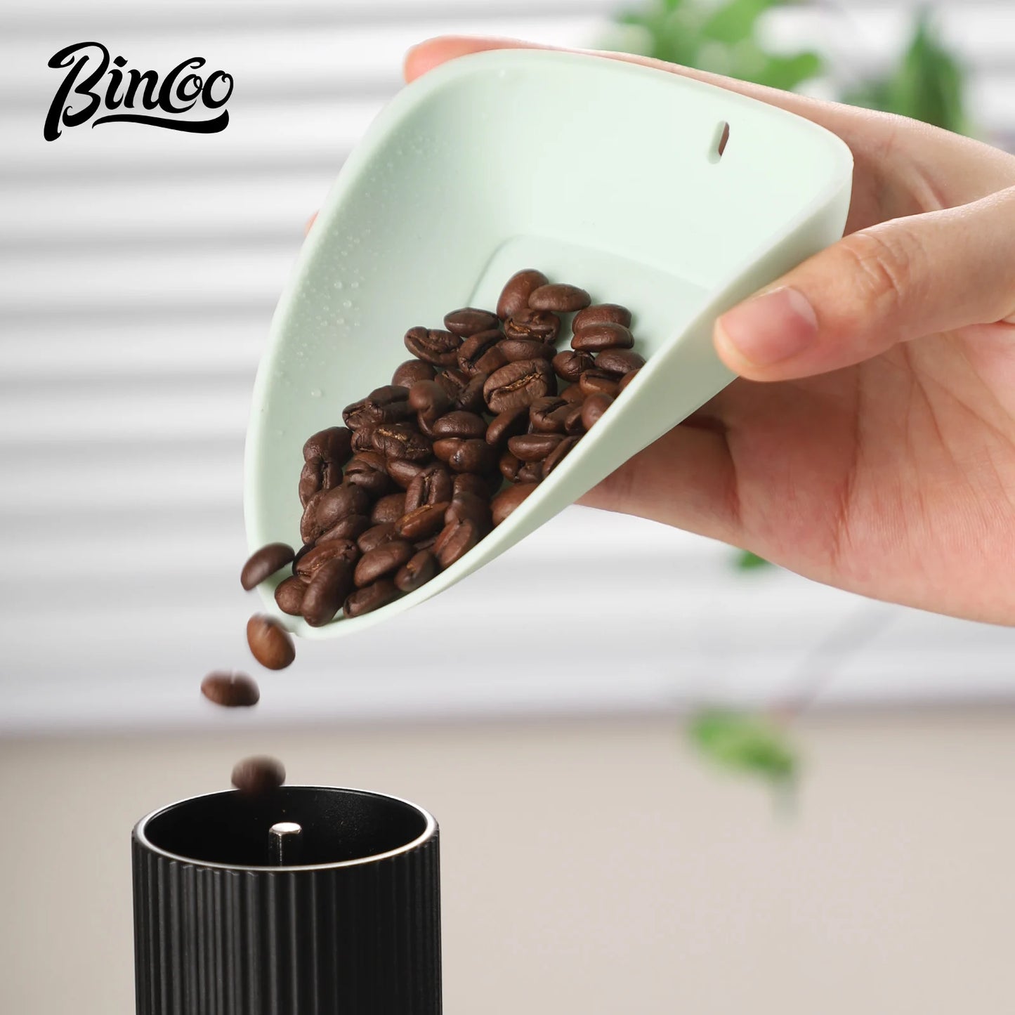Silicone Coffee Bean Dish with Scale – Just Coffee Barista Display Set